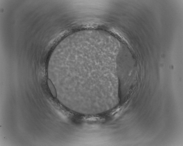 X0000077290407200611171632