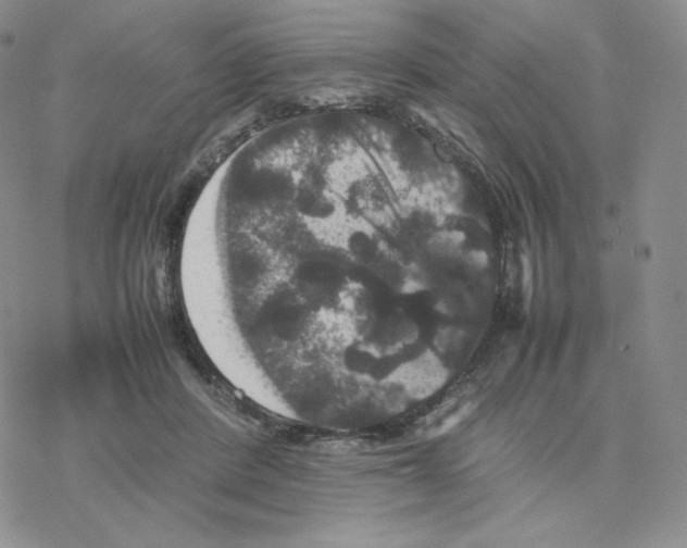 X0000077290408200611171632