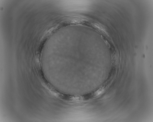 X0000077290415200611171632