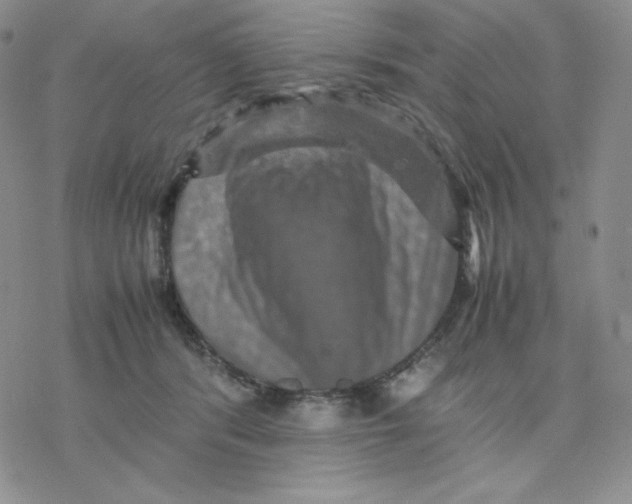 X0000077290416200611171632