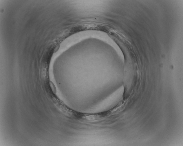 X0000077290417200611171632