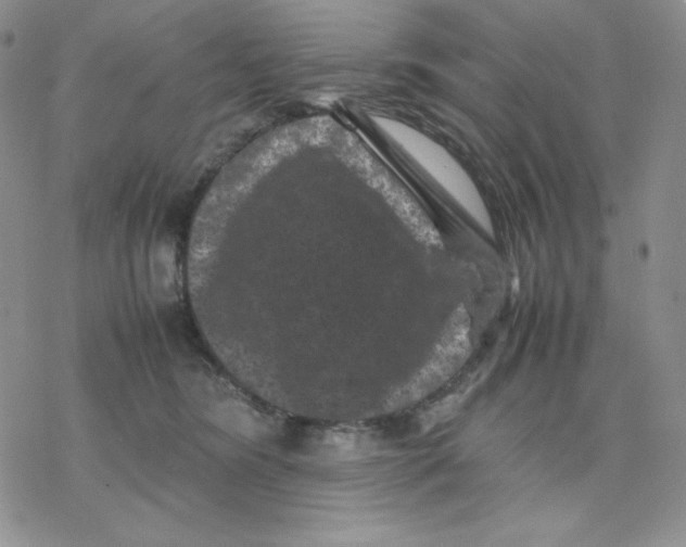 X0000077290420200611171632