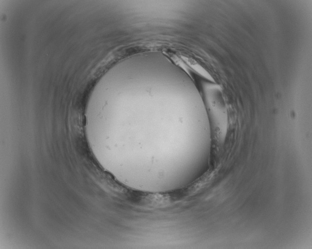 X0000077290421200611171632