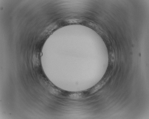 X0000077290422200611171632