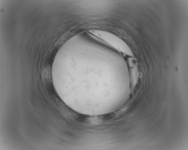 X0000077290425200611171632