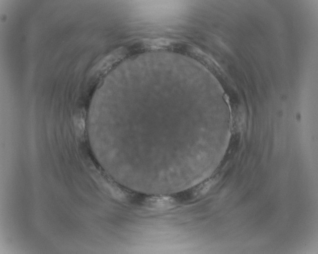 X0000077290427200611171632