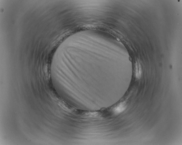 X0000077290428200611171632