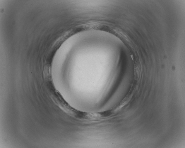 X0000077290429200611171632