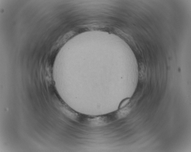 X0000077290430200611171632