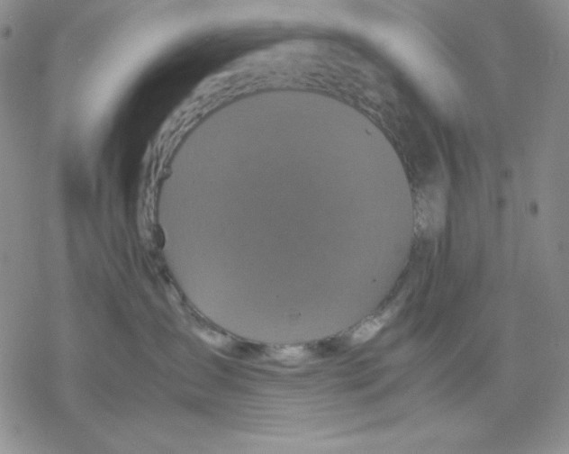 X0000077290431200611171632