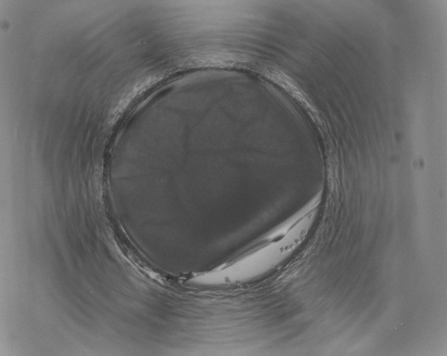 X0000077290434200611171631