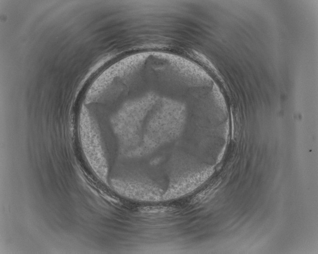 X0000077290435200611171631