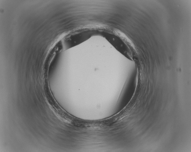 X0000077290436200611171631