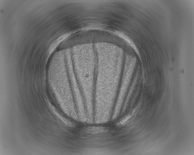 X0000077290437200611171631