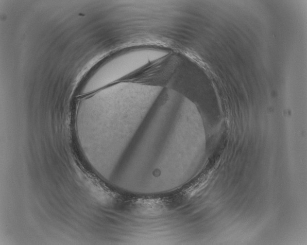 X0000077290440200611171631