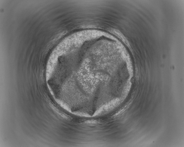 X0000077290441200611171631