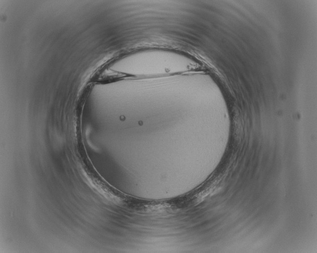 X0000077290446200611171631