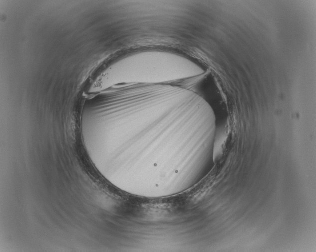 X0000077290448200611171631