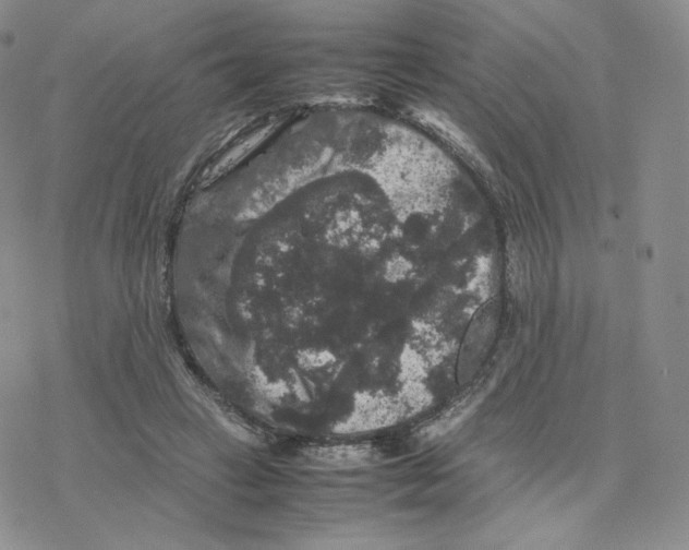 X0000077290449200611171631