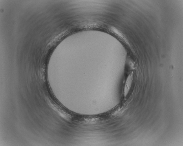 X0000077290450200611171631