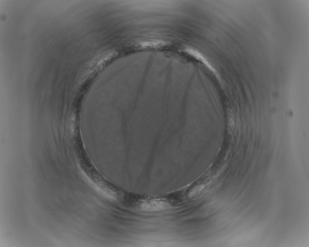 X0000077290451200611171631