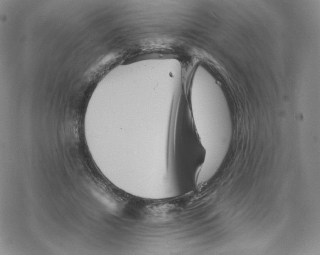 X0000077290452200611171631