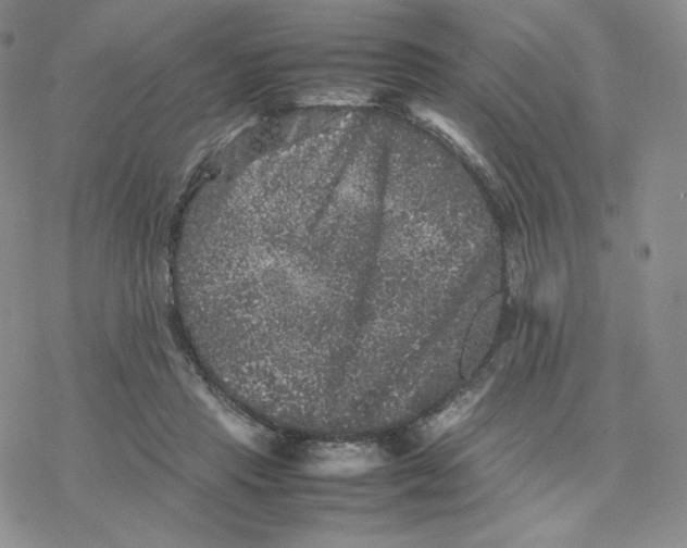 X0000077290453200611171631