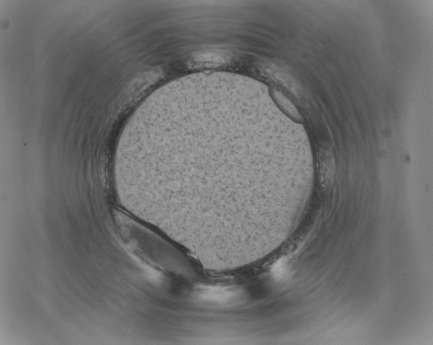 X0000077290455200611171631