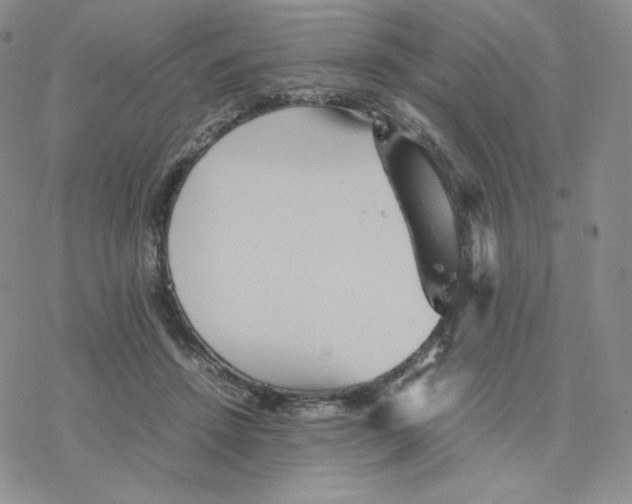 X0000077290456200611171631