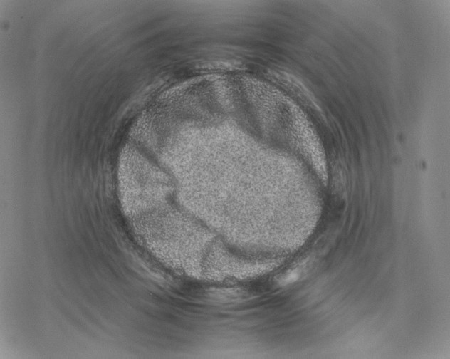 X0000077290457200611171631