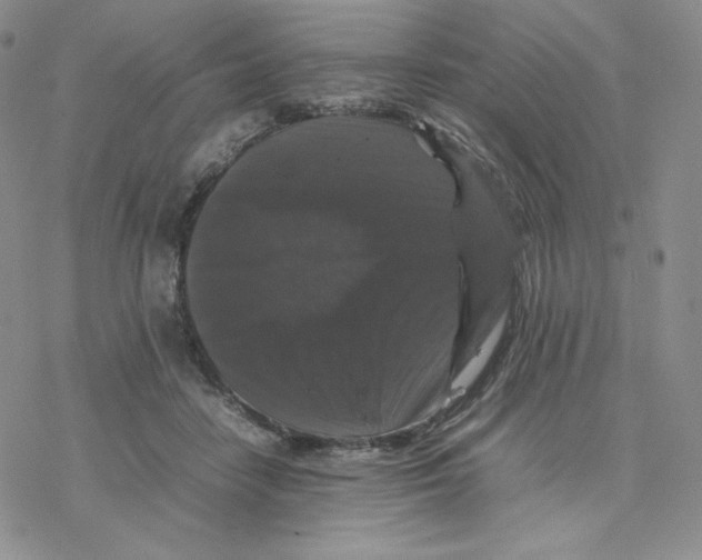 X0000077290458200611171631