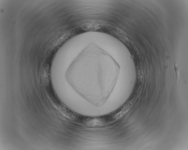 X0000077290460200611171631