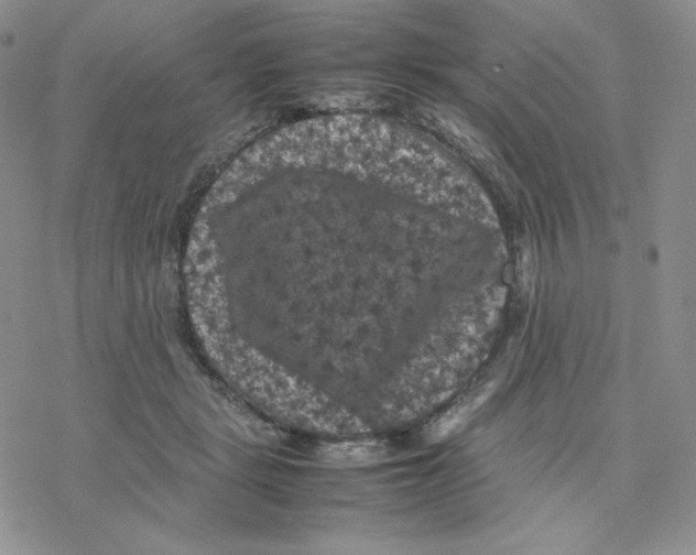 X0000077290461200611171631