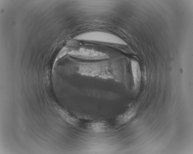 X0000077290462200611171631