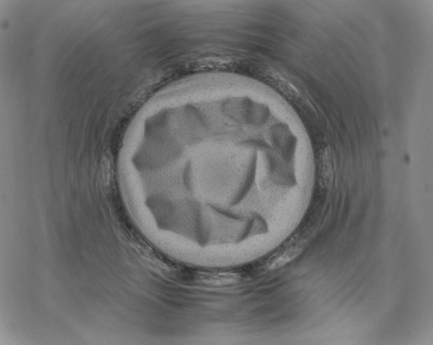 X0000077290463200611171631