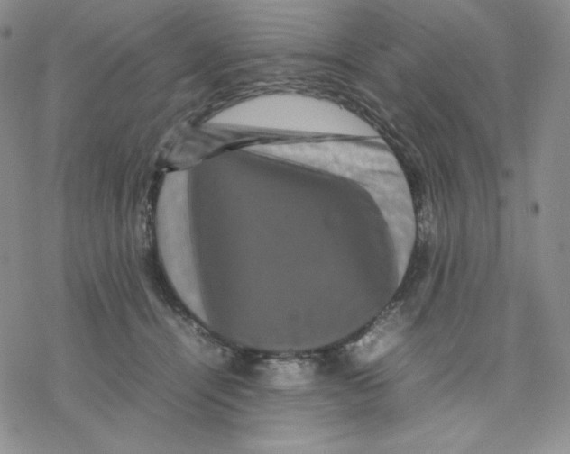 X0000077290464200611171631