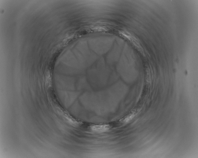 X0000077290465200611171631