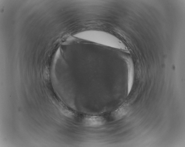 X0000077290467200611171631