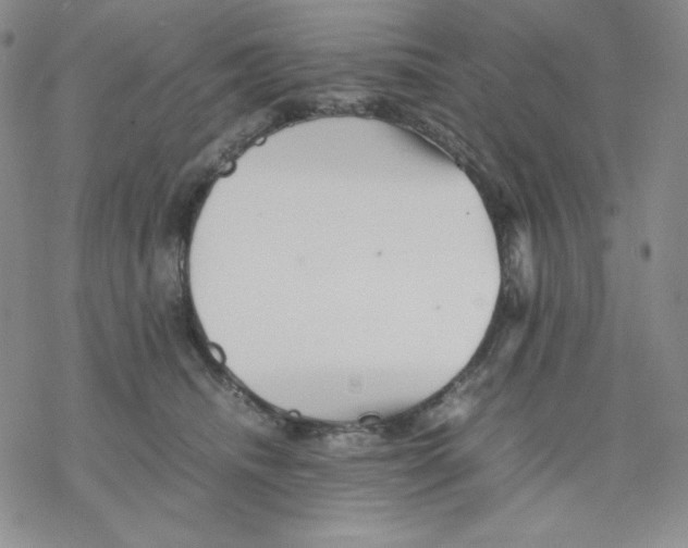 X0000077290468200611171632