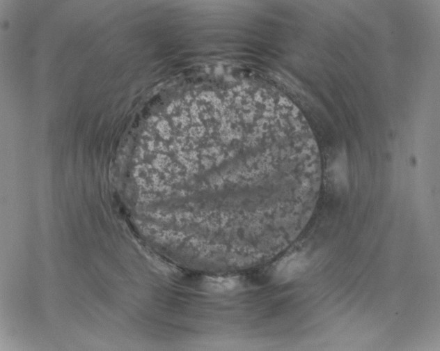 X0000077290469200611171632