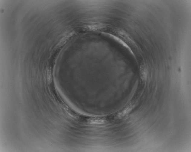 X0000077290471200611171632