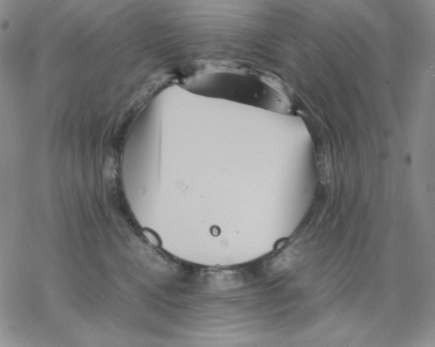 X0000077290472200611171632