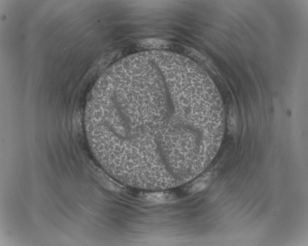 X0000077290473200611171632