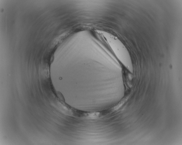 X0000077290474200611171632