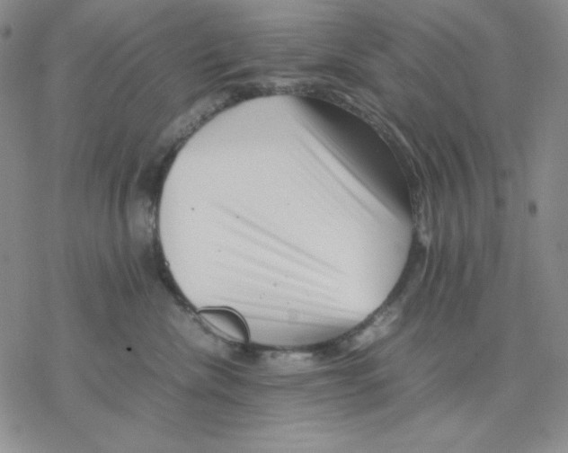 X0000077290476200611171632