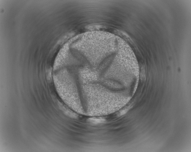 X0000077290477200611171632