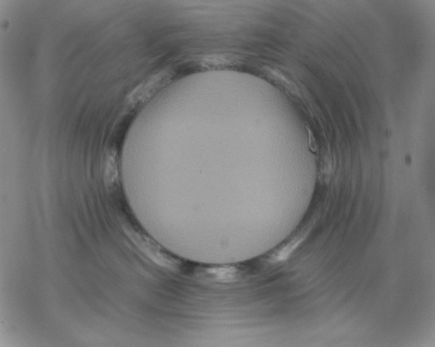 X0000077290478200611171632