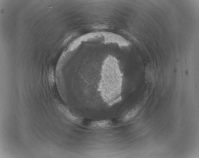 X0000077290479200611171632