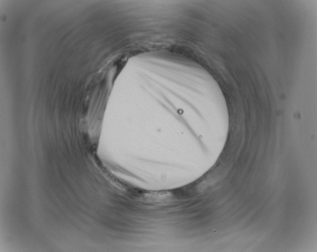 X0000077290480200611171632