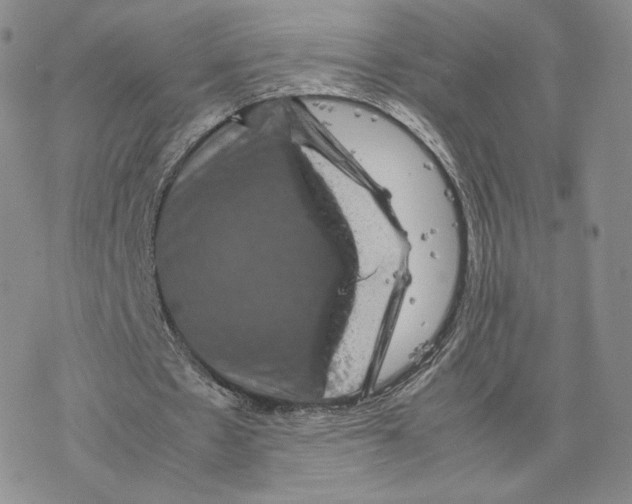 X0000077290481200611171631